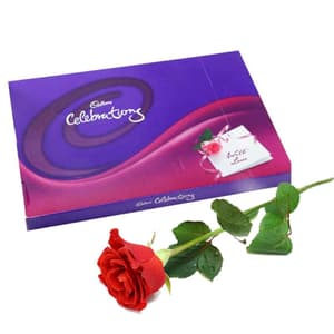 Single Red Rose with Cerebration Chocolates